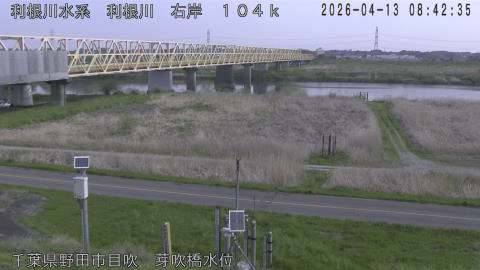 tonme2026041309_image