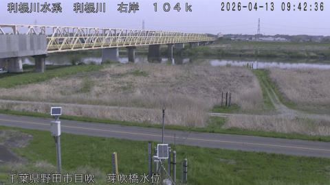 tonme2026041310_image