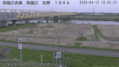 tonme2026041311_image