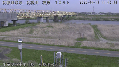 tonme2026041312_image