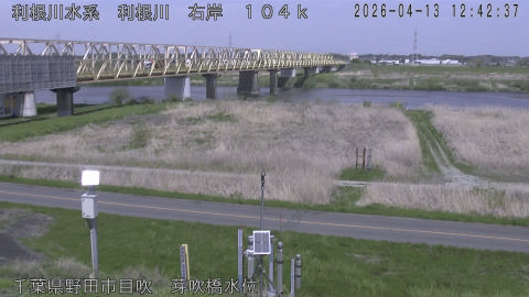 tonme2026041313_image