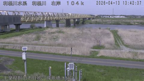 tonme2026041314_image