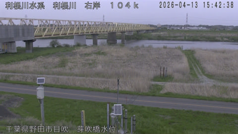 tonme2026041316_image