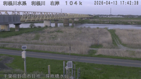 tonme2026041318_image