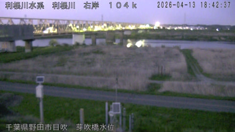 tonme2026041319_image