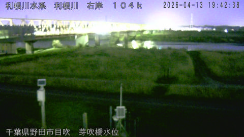 tonme2026041320_image