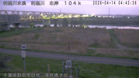 tonme2026041405_image