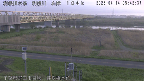 tonme2026041406_image