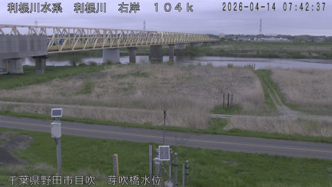 tonme2026041408_image