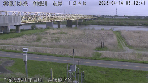 tonme2026041409_image