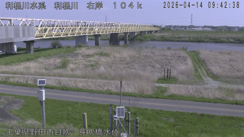 tonme2026041410_image