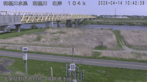 tonme2026041411_image