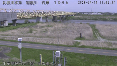 tonme2026041412_image