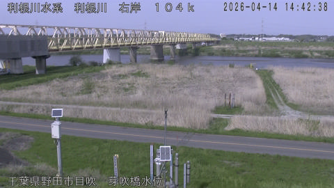 tonme2026041415_image