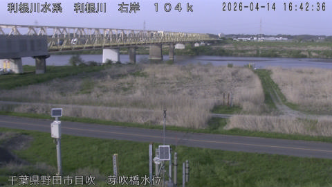 tonme2026041417_image