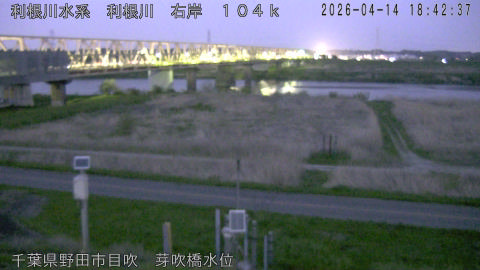 tonme2026041419_image