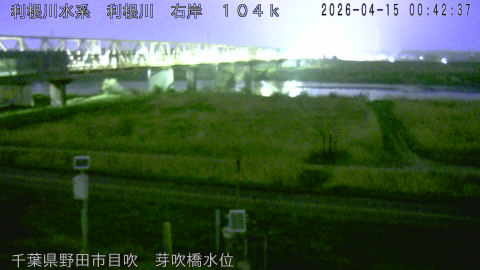 tonme2026041501_image