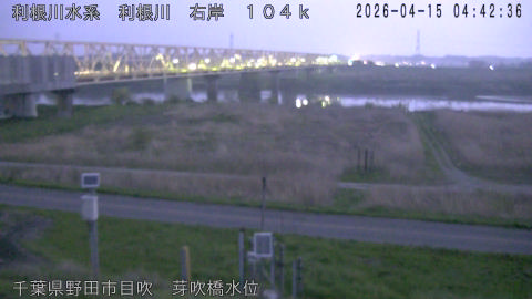 tonme2026041505_image