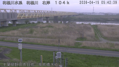 tonme2026041506_image