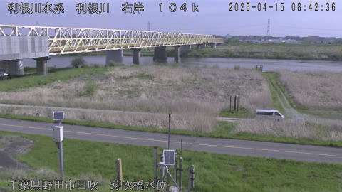 tonme2026041509_image