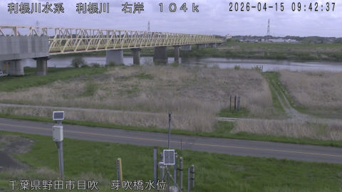 tonme2026041510_image