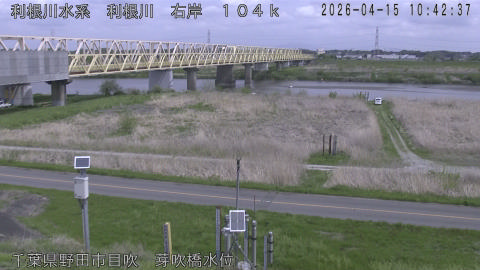 tonme2026041511_image