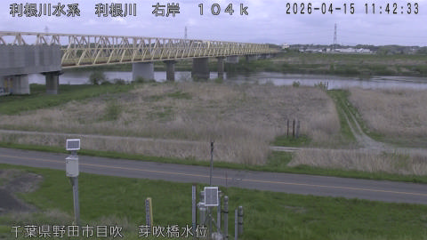 tonme2026041512_image