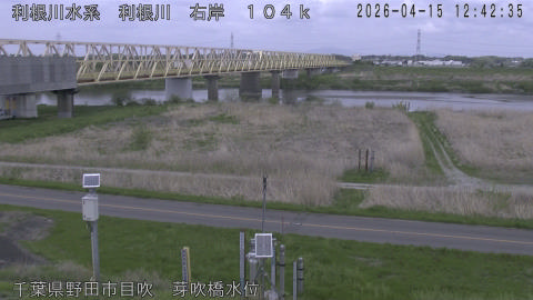 tonme2026041513_image