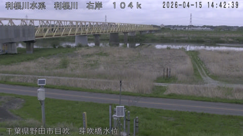 tonme2026041515_image