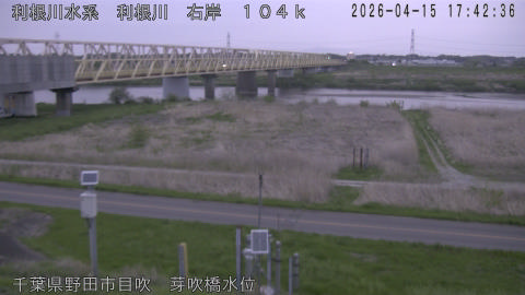 tonme2026041518_image