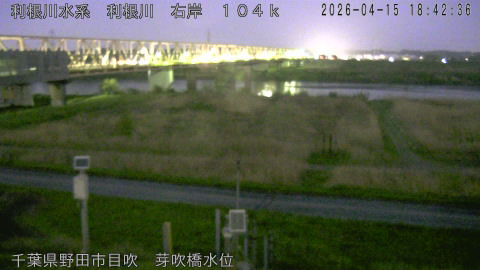 tonme2026041519_image