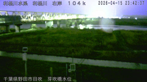 tonme2026041600_image