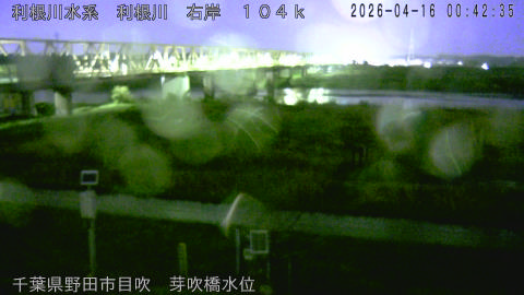 tonme2026041601_image