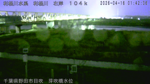 tonme2026041602_image