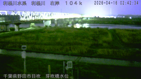 tonme2026041603_image