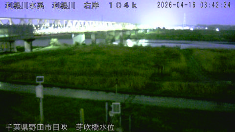 tonme2026041604_image