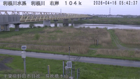 tonme2026041606_image