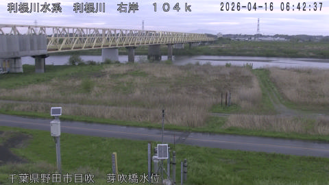 tonme2026041607_image