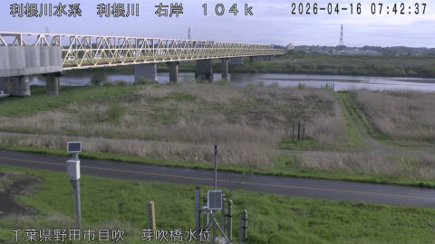 tonme2026041608_image