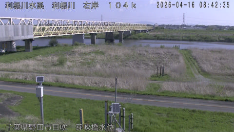 tonme2026041609_image