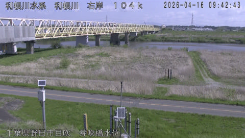 tonme2026041610_image