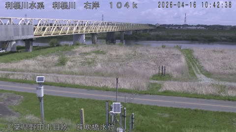 tonme2026041611_image