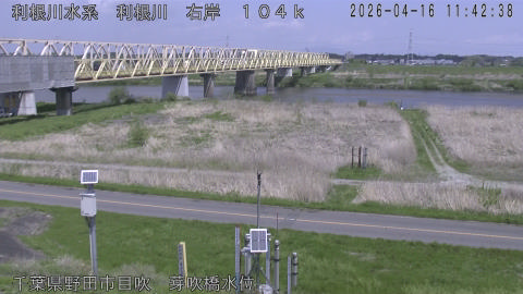 tonme2026041612_image