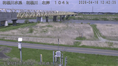 tonme2026041613_image