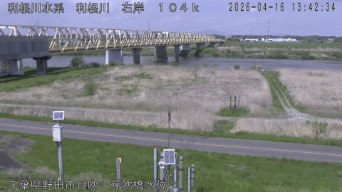 tonme2026041614_image