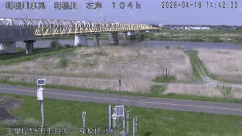 tonme2026041615_image