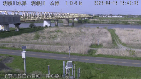 tonme2026041616_image