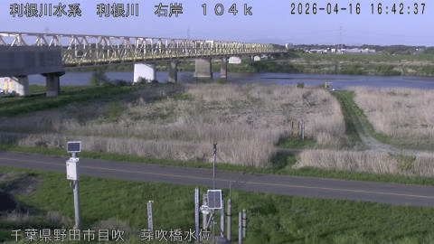 tonme2026041617_image