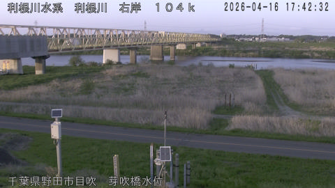 tonme2026041618_image