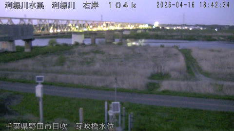 tonme2026041619_image